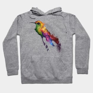 Coppery Headed Humming Bird Hoodie